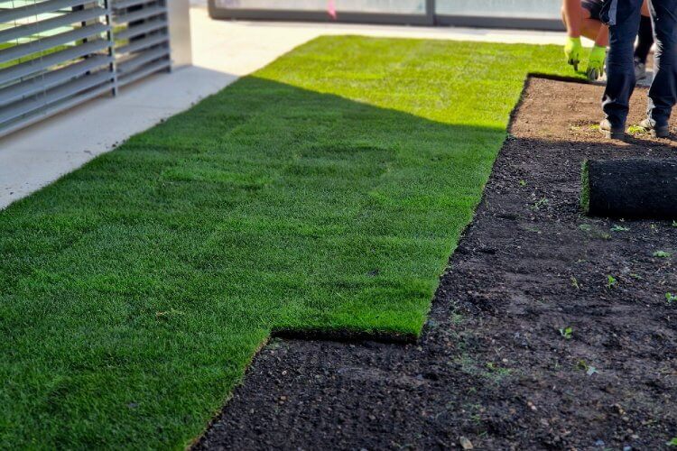turfing and lawn installation skipton